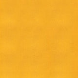 Ship to Shore Armada 108 Lemon Chiffon Automotive / Marine Upholstery Fabric