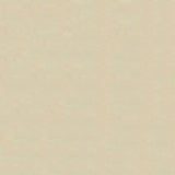 Ship to Shore Lighthouse Ivory Automotive / Marine Upholstery Fabric