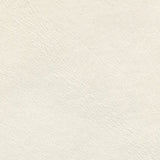 Ship to Shore Lunar White Automotive / Marine Upholstery Fabric