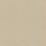 Ship to Shore Tradewinds 6610 Coastal Sand Automotive / Marine Upholstery Fabric