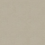 Ship to Shore Tradewinds 6620 Moonmisty Automotive / Marine Upholstery Fabric
