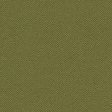 Silvertex 8820 Basil Upholstery Fabric