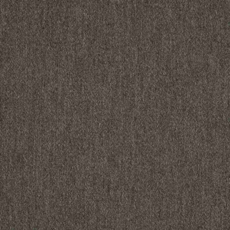 Sunbrella Pashmina Coal 40501-0014 Fusion Collection Upholstery Fabric