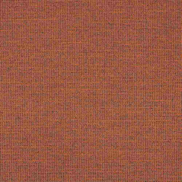 Sunbrella Rally Ember 87005-0010 Transcend Collection Upholstery Fabric