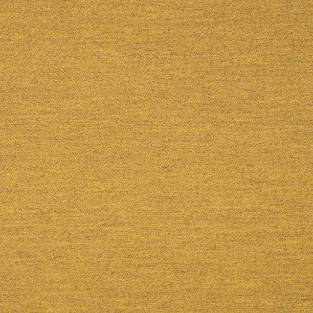 Sunbrella Pashmina Saffron 40501-0008 Transcend Collection Upholstery Fabric