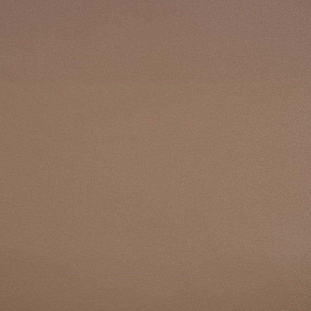 Sunbrella Horizon Capriccio Dune 10200-0009 Marine Vinyl Upholstery Fabric