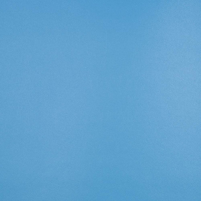 Sunbrella Horizon Capriccio Sky 10200-0019 Marine Vinyl Upholstery Fabric