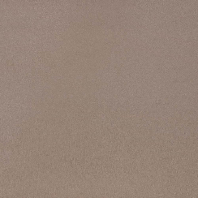 Sunbrella Horizon Capriccio Taupe 10200-0010 Marine Vinyl Upholstery Fabric