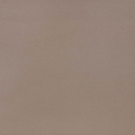 Sample of Sunbrella Horizon Capriccio Taupe 10200-0010 Marine Vinyl Elements Collection Upholstery Fabric