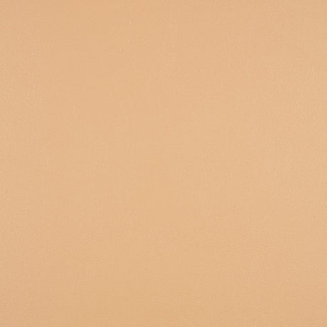 Sunbrella Horizon Capriccio Toast 10200-0007 Foam Back Marine Vinyl Upholstery Fabric