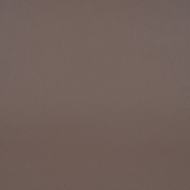 Sunbrella Horizon Capriccio Taupe 10200-0010 Foam Back Marine Vinyl Upholstery Fabric