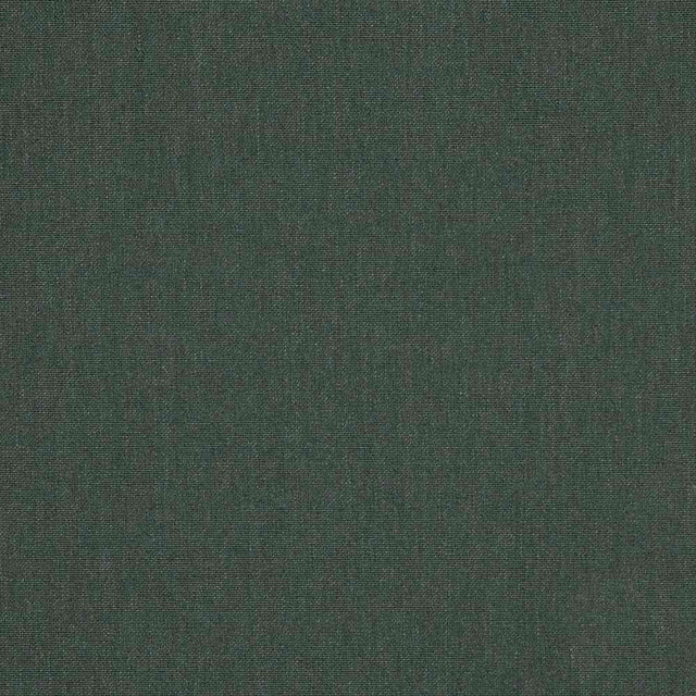 Sunbrella Cast Ivy 48141-0000 Emerge Collection Upholstery Fabric