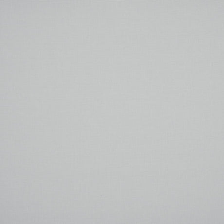 Sunbrella Relax Birch RLX B101 150 Odyssey European Collection Upholstery Fabric