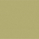 Outdura Samba Basil 10812 Ovation 4 Collection - Garden Spot Upholstery Fabric