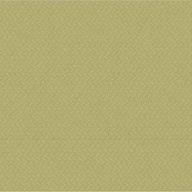 Outdura Samba Basil 10812 Ovation 4 Collection - Garden Spot Upholstery Fabric