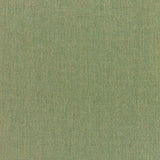 Sample of Sunbrella Canvas Fern 5487-0000 Elements Collection Upholstery Fabric