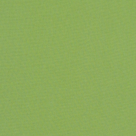 Sunbrella Canvas Ginkgo 54011-0000 Elements Collection Upholstery Fabric