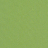 Sample of Sunbrella Canvas Ginkgo 54011-0000 Elements Collection Upholstery Fabric