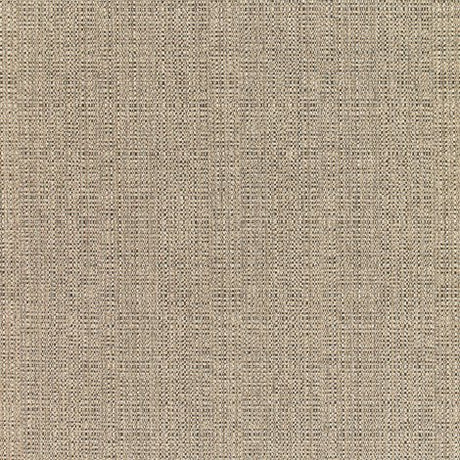 Sunbrella Linen Stone 8319-0000 Elements Collection Upholstery Fabric