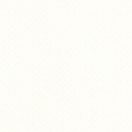 Softside Apex 2554 Brilliant White Automotive / Marine Upholstery Fabric