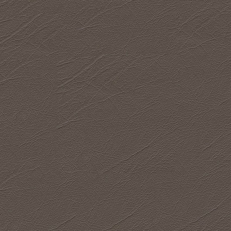 Softside Aries 1605 Pebble Automotive / Marine Upholstery Fabric