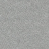 Softside Gemini 2563 Aluminum Upholstery Fabric