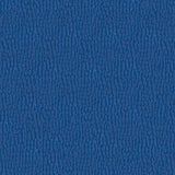 Softside Gemini 2568 Electric Upholstery Fabric