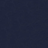 Softside Islander 9159 Midnight Marine Upholstery Fabric