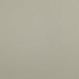 Softside Zander 3101 Ivory Automotive / Marine Upholstery Fabric