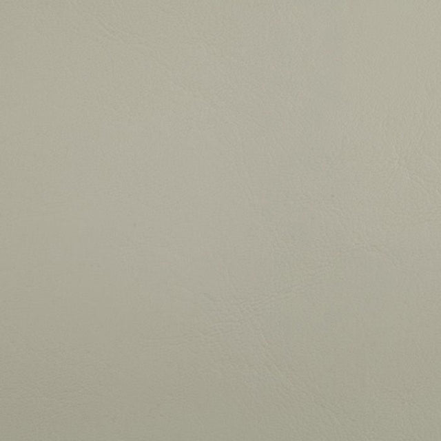 Softside Zander 3101 Ivory Automotive / Marine Upholstery Fabric