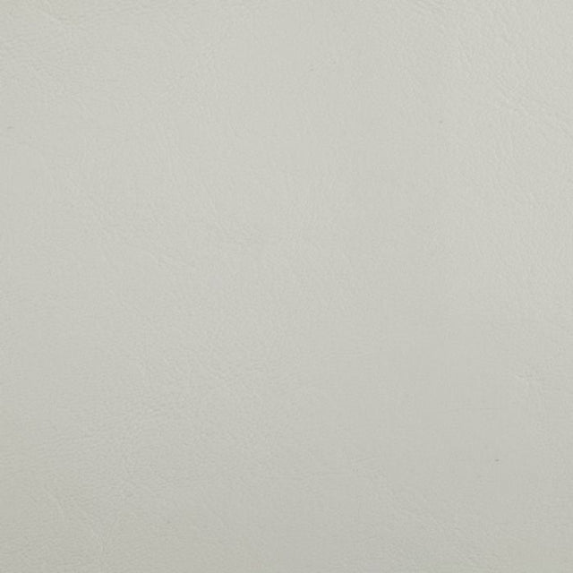 Softside Zander 3104 Off White Automotive / Marine Upholstery Fabric