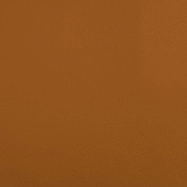 Softside Zander 3116 Papaya Automotive / Marine Upholstery Fabric