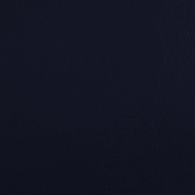Softside Zander 3124 Celestial Automotive / Marine Upholstery Fabric