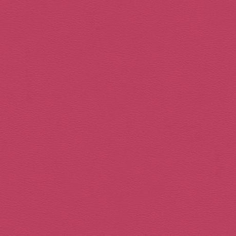 Spirit 504 Rosalee Contract Automotive and Marine Upholstery Fabric