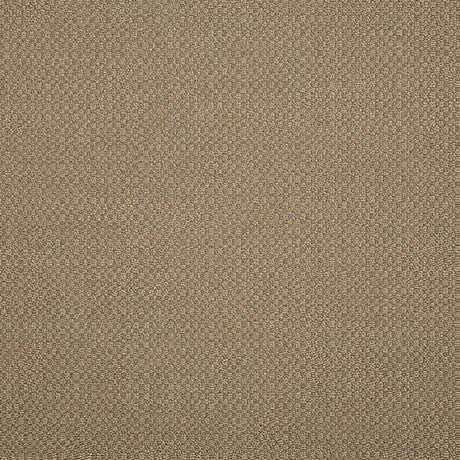 Sunbrella Action Taupe 44285 - 0003 Elements Collection Upholstery Fabric - Outdoor Textiles