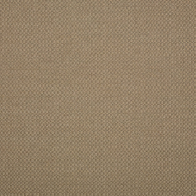 Sunbrella Action Taupe 44285 - 0003 Elements Collection Upholstery Fabric - Outdoor Textiles