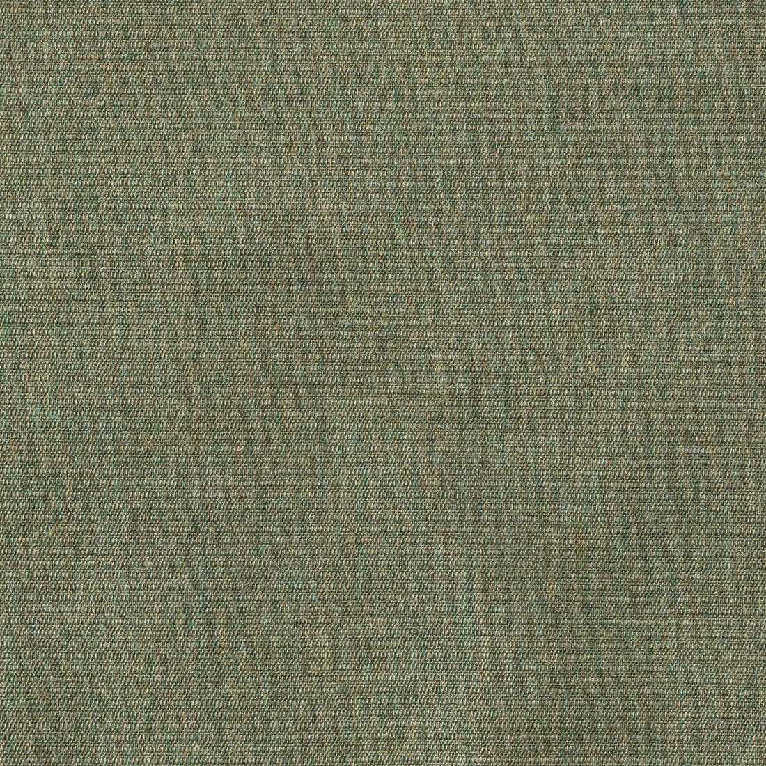 Sunbrella Ambrose Fern 40608-0010 Upholstery Fabric