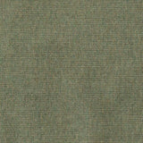 Sunbrella Ambrose Fern 40608-0010 Upholstery Fabric