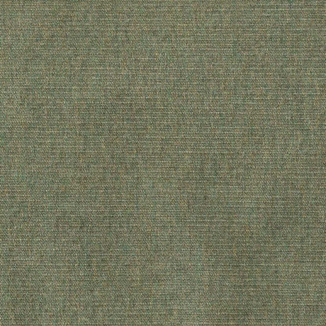 Sunbrella Ambrose Fern 40608-0010 Upholstery Fabric