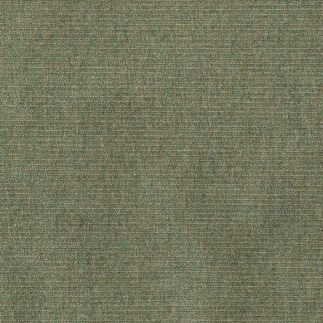 Sunbrella Ambrose Fern 40608-0010 Upholstery Fabric