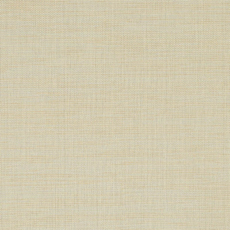 Sunbrella Augustine Pebble 3050343 Sling Fabric