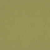 Sunbrella by Mayer Soleil Wasabi 416-013 Imagine Collection Upholstery Fabric