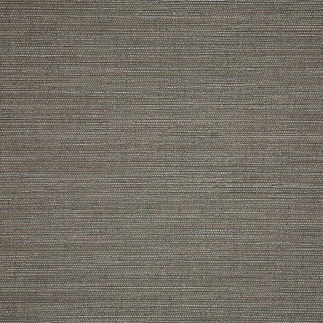 Sunbrella Collect Charcoal 3050505 Sling Fabric