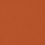 Sunbrella Exceed FR Terracotta 8757 - 0060 60 - inch Awning Fabric - Outdoor Textiles