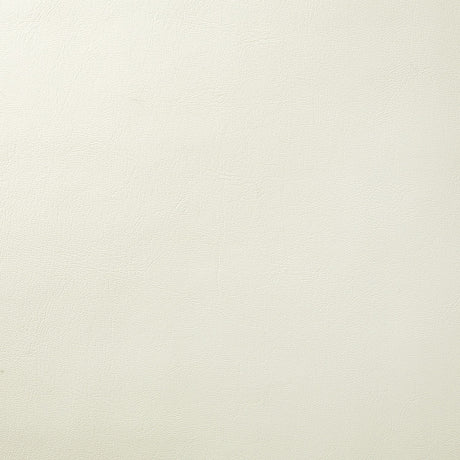 Sunbrella Horizon Capriccio Salt 10200-0025 Foam Back Marine Vinyl Upholstery Fabric