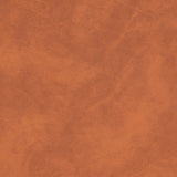 Sunbrella Horizon Tuscano Cedar 10203-0001 Marine Vinyl Upholstery Fabric