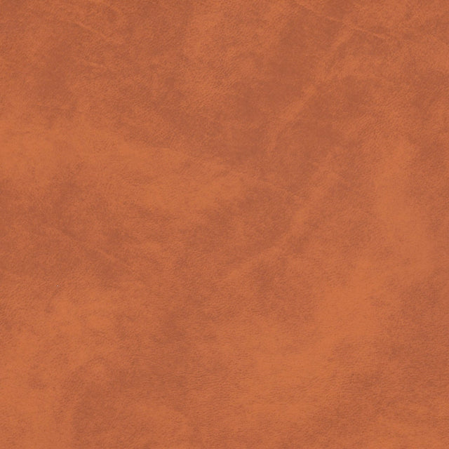 Sunbrella Horizon Tuscano Cedar 10203-0001 Marine Vinyl Upholstery Fabric