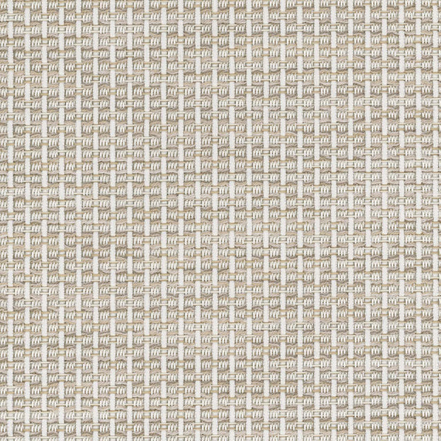 Sunbrella Igneous Cream 3050620 Sling Fabric