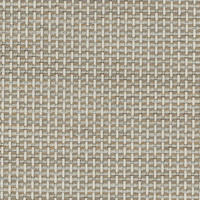 Sunbrella Igneous Sand 3050619 Sling Fabric
