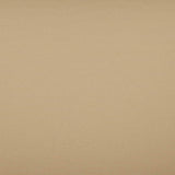 Tempotest Home Classic Biscotti 52/15 Foundations Collection Upholstery Fabric